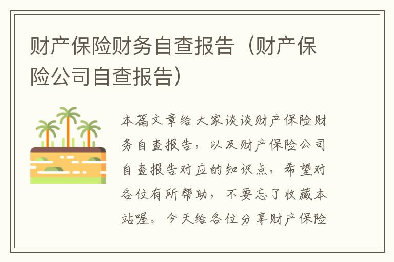 财产保险财务自查报告（财产保险公司自查报告）