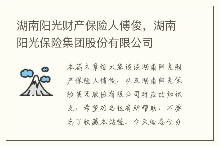 湖南阳光财产保险人傅俊，湖南阳光保险集团股份有限公司