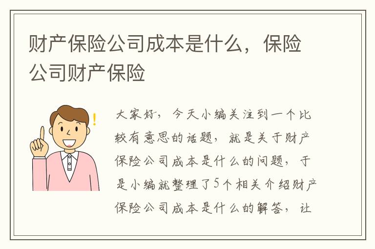 财产保险公司成本是什么，保险公司财产保险