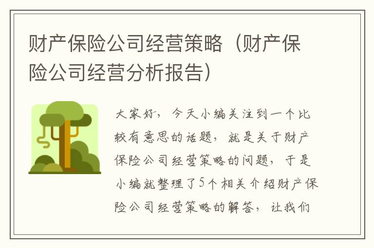 财产保险公司经营策略（财产保险公司经营分析报告）