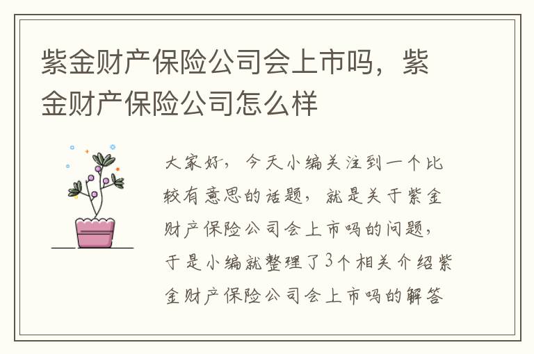 紫金财产保险公司会上市吗，紫金财产保险公司怎么样