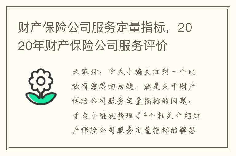 财产保险公司服务定量指标，2020年财产保险公司服务评价