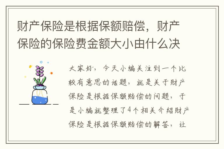 财产保险是根据保额赔偿，财产保险的保险费金额大小由什么决定