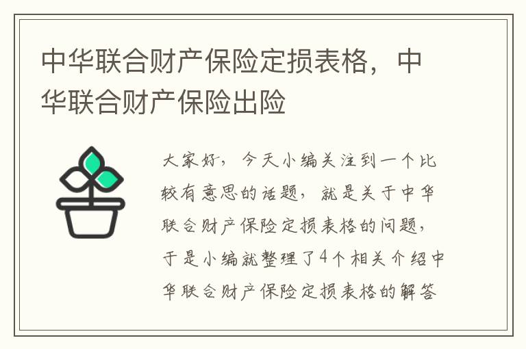 中华联合财产保险定损表格，中华联合财产保险出险