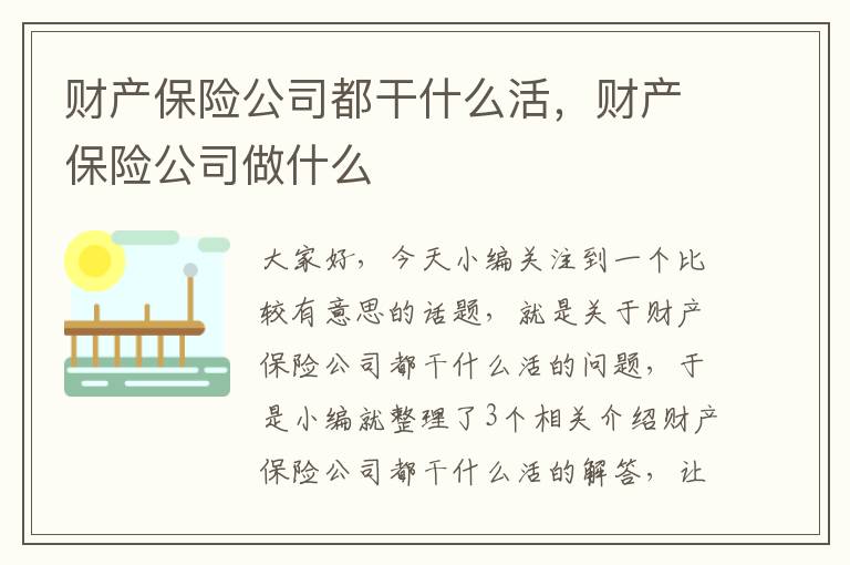 财产保险公司都干什么活，财产保险公司做什么