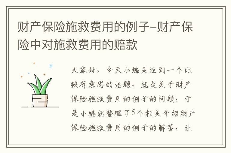 财产保险施救费用的例子-财产保险中对施救费用的赔款