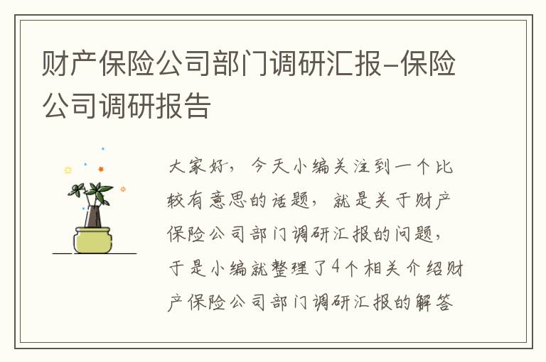 财产保险公司部门调研汇报-保险公司调研报告