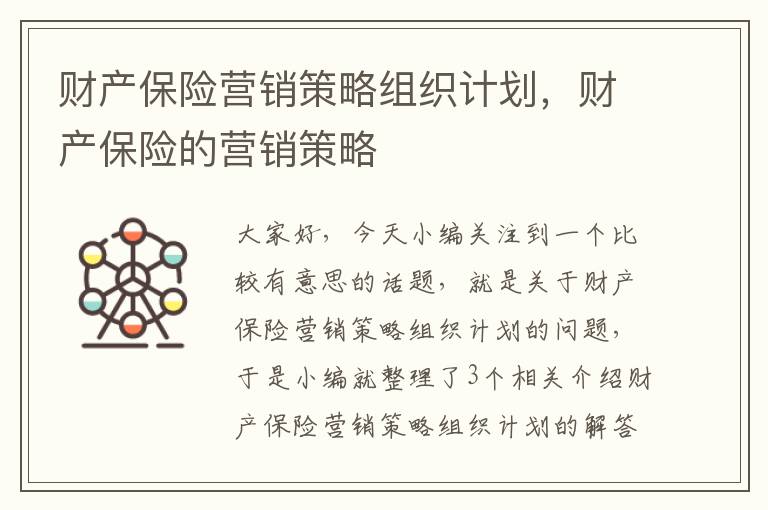 财产保险营销策略组织计划，财产保险的营销策略