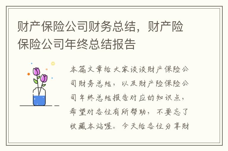 财产保险公司财务总结，财产险保险公司年终总结报告