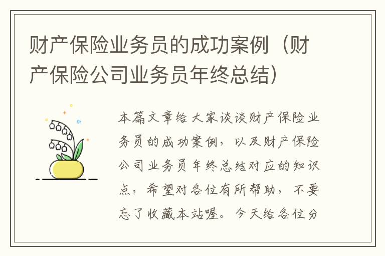 财产保险业务员的成功案例（财产保险公司业务员年终总结）