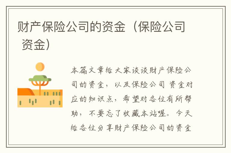 财产保险公司的资金（保险公司 资金）