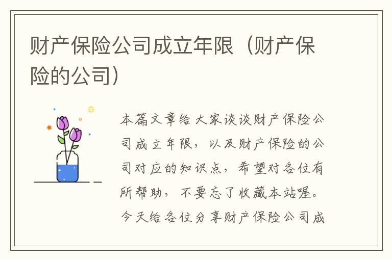 财产保险公司成立年限（财产保险的公司）