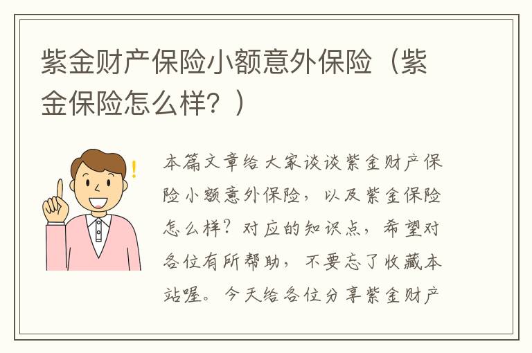 紫金财产保险小额意外保险（紫金保险怎么样？）