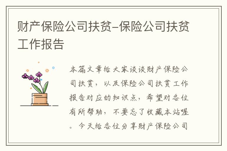 财产保险公司扶贫-保险公司扶贫工作报告