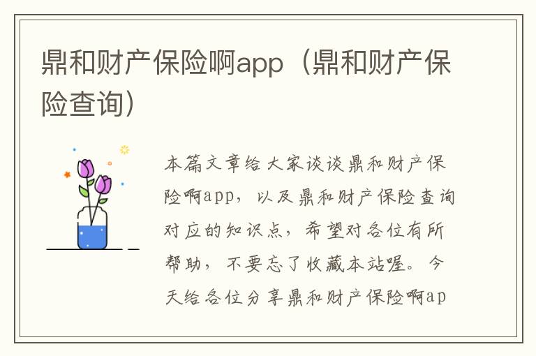 鼎和财产保险啊app（鼎和财产保险查询）