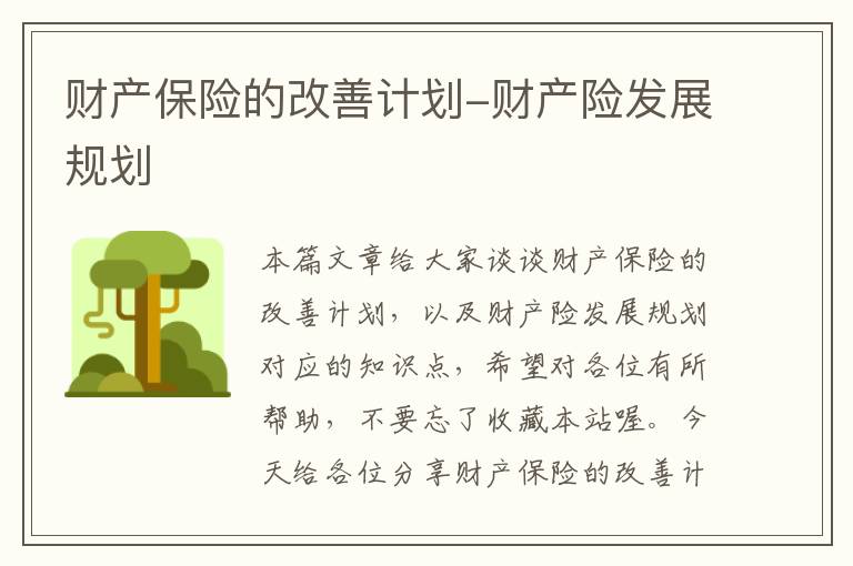 财产保险的改善计划-财产险发展规划