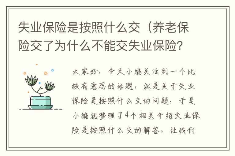 失业保险是按照什么交（养老保险交了为什么不能交失业保险？）