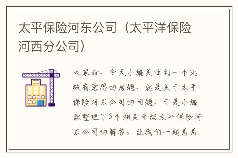 太平保险河东公司（太平洋保险河西分公司）