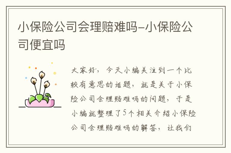 小保险公司会理赔难吗-小保险公司便宜吗