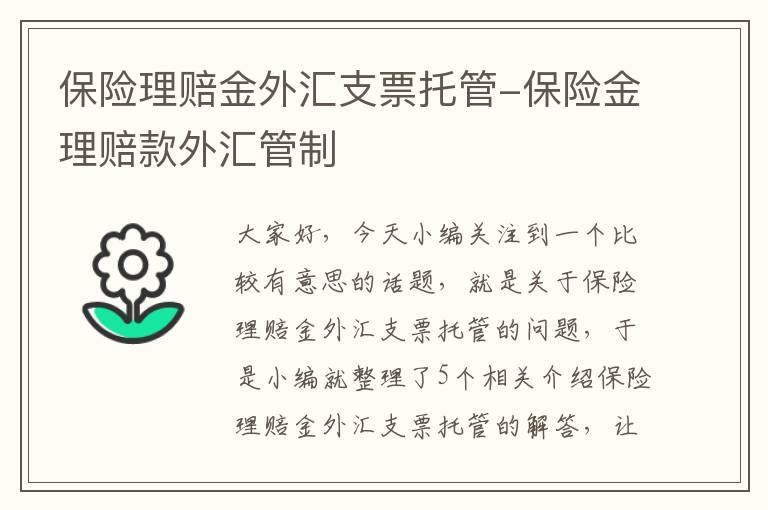 保险理赔金外汇支票托管-保险金理赔款外汇管制