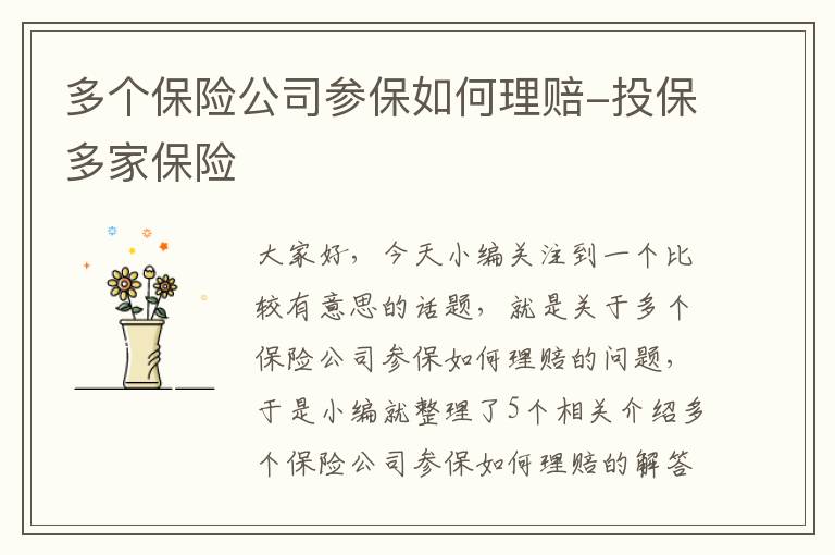 多个保险公司参保如何理赔-投保多家保险