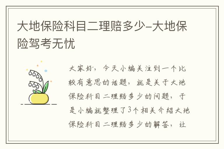 大地保险科目二理赔多少-大地保险驾考无忧