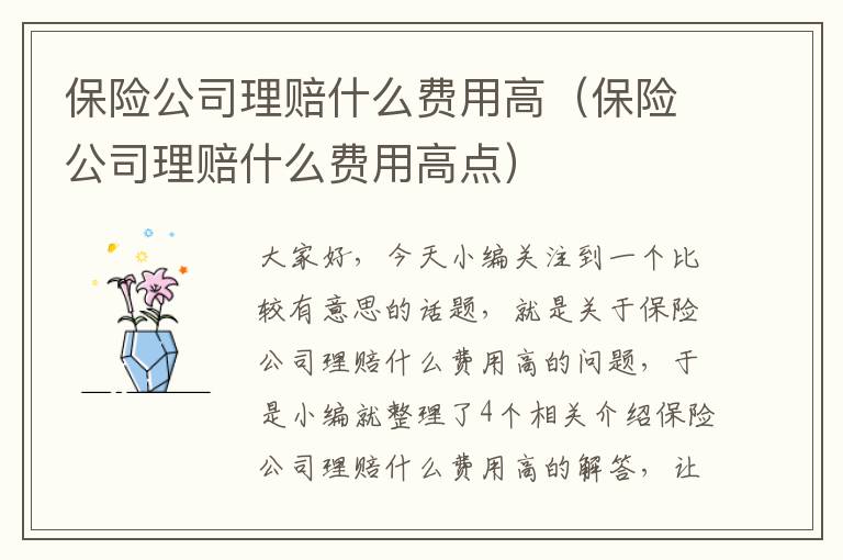 保险公司理赔什么费用高（保险公司理赔什么费用高点）