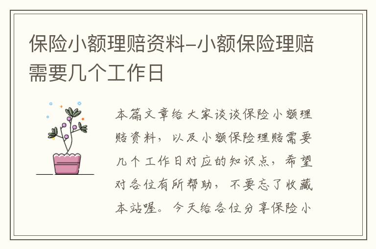 保险小额理赔资料-小额保险理赔需要几个工作日