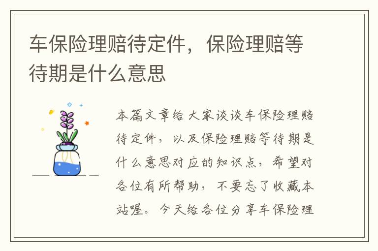 车保险理赔待定件，保险理赔等待期是什么意思