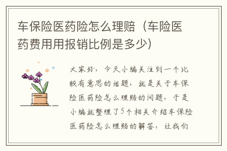 车保险医药险怎么理赔（车险医药费用用报销比例是多少）