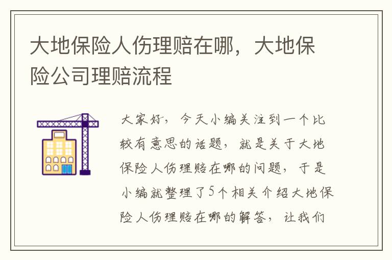 大地保险人伤理赔在哪，大地保险公司理赔流程