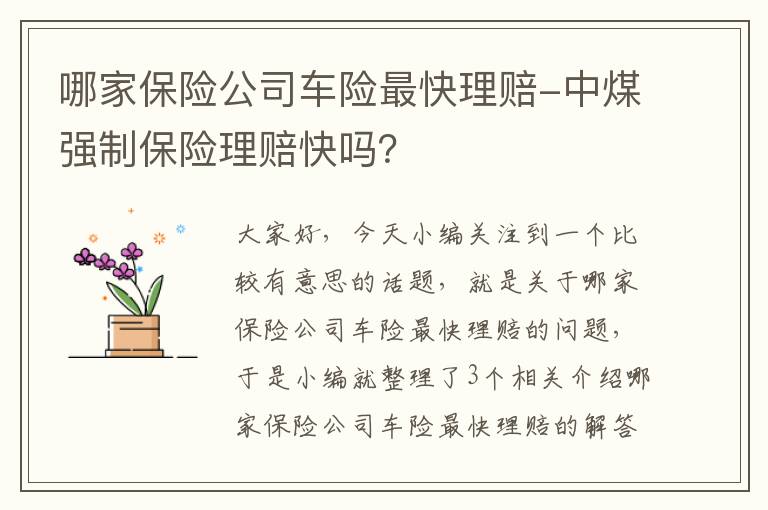 哪家保险公司车险最快理赔-中煤强制保险理赔快吗？