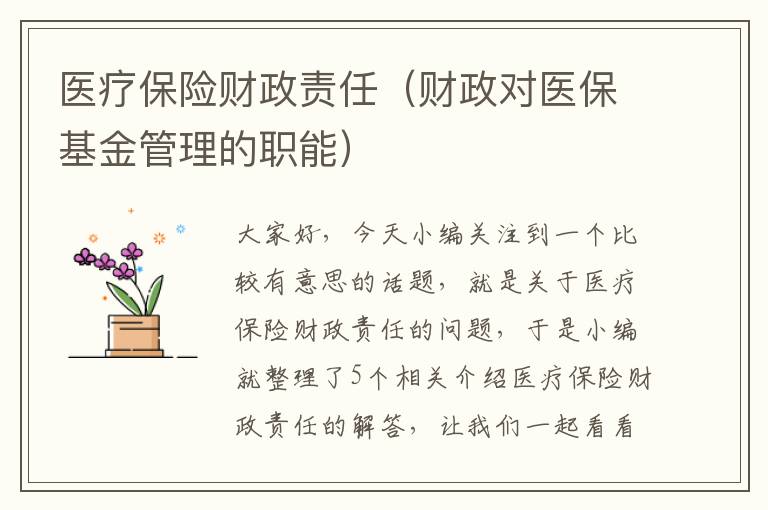 医疗保险财政责任（财政对医保基金管理的职能）