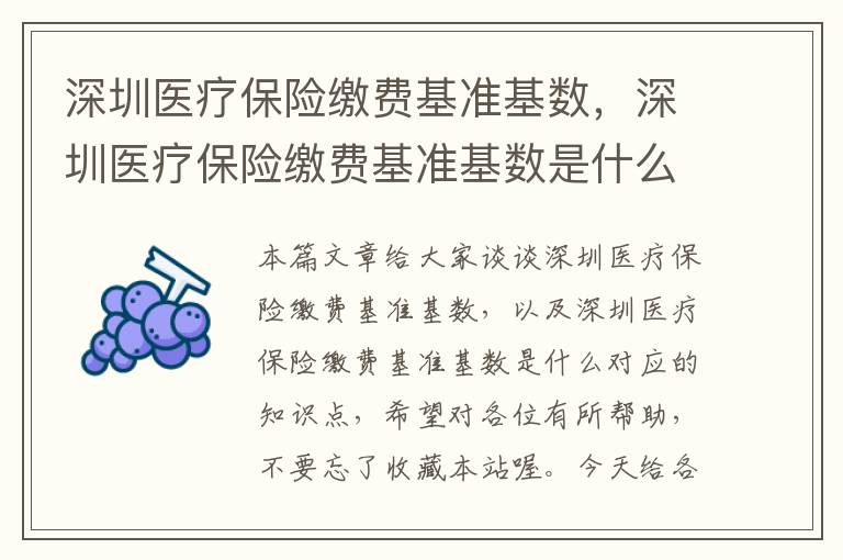 深圳医疗保险缴费基准基数，深圳医疗保险缴费基准基数是什么