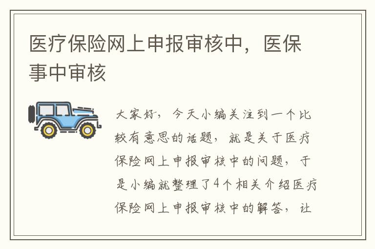 医疗保险网上申报审核中，医保事中审核