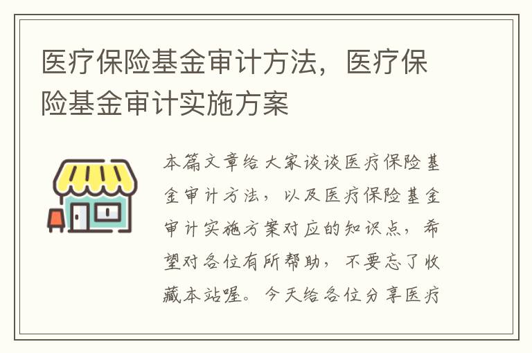 医疗保险基金审计方法，医疗保险基金审计实施方案