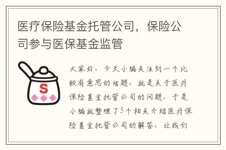 医疗保险基金托管公司，保险公司参与医保基金监管