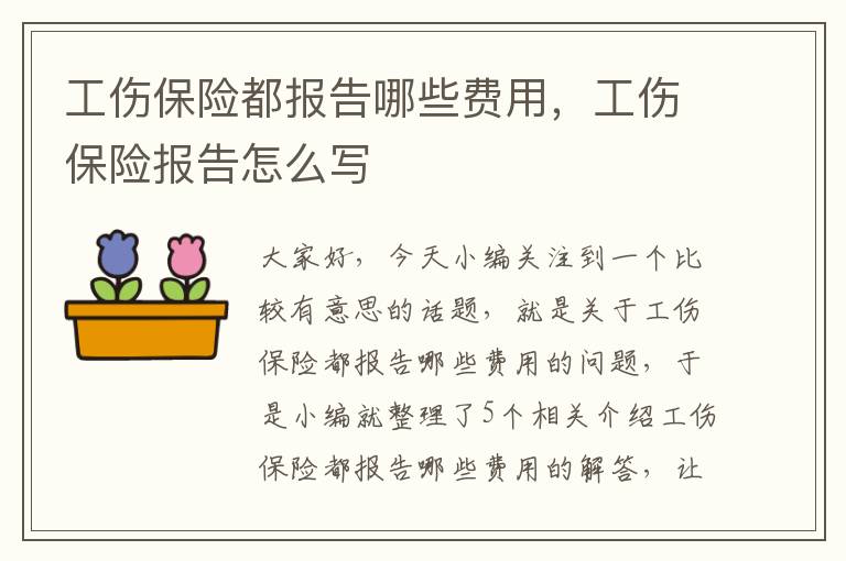 工伤保险都报告哪些费用，工伤保险报告怎么写