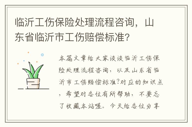 临沂工伤保险处理流程咨询，山东省临沂市工伤赔偿标准?