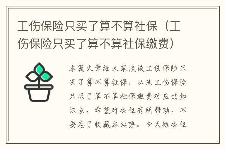 工伤保险只买了算不算社保（工伤保险只买了算不算社保缴费）