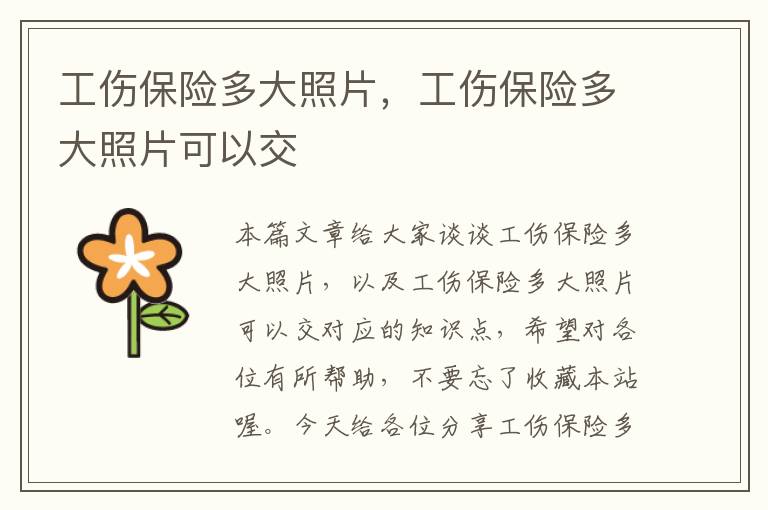 工伤保险多大照片，工伤保险多大照片可以交