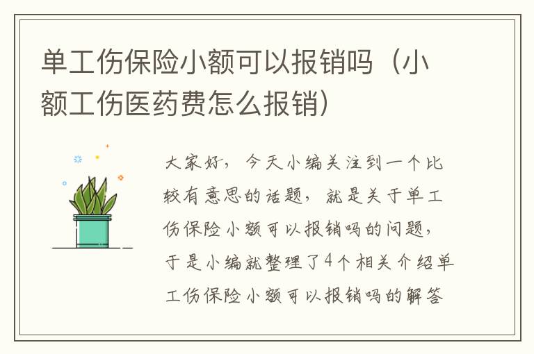 单工伤保险小额可以报销吗（小额工伤医药费怎么报销）