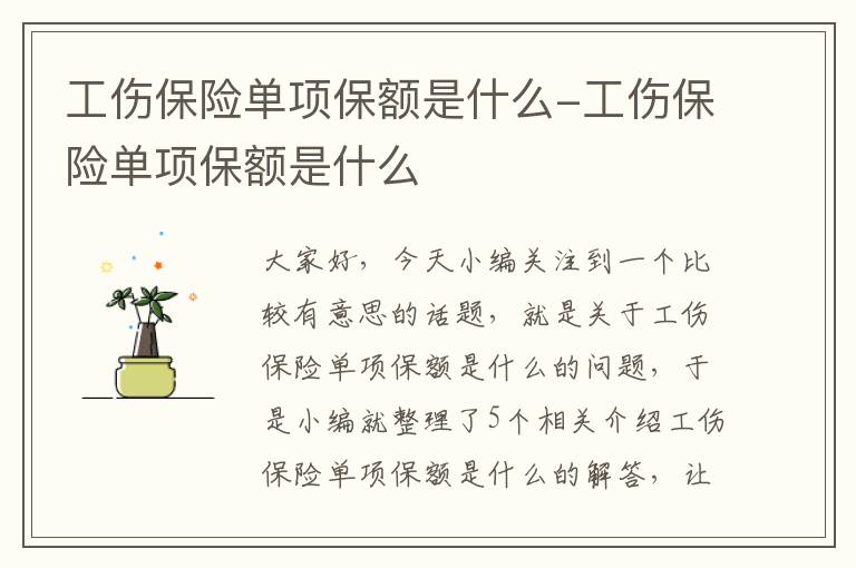 工伤保险单项保额是什么-工伤保险单项保额是什么