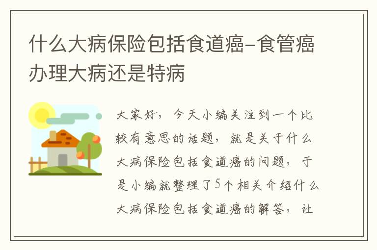 什么大病保险包括食道癌-食管癌办理大病还是特病