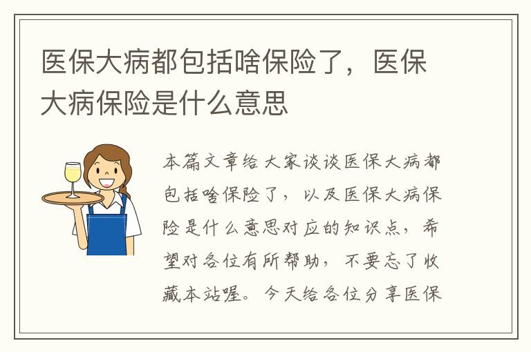 医保大病都包括啥保险了，医保大病保险是什么意思