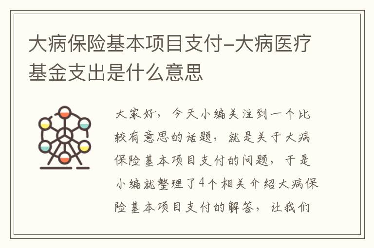 大病保险基本项目支付-大病医疗基金支出是什么意思