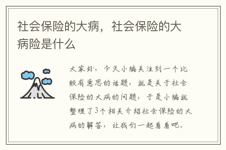 社会保险的大病，社会保险的大病险是什么