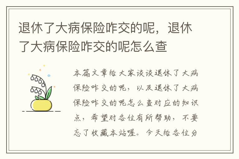 退休了大病保险咋交的呢，退休了大病保险咋交的呢怎么查