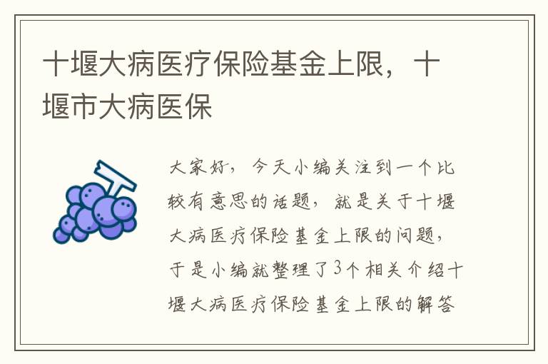 十堰大病医疗保险基金上限，十堰市大病医保