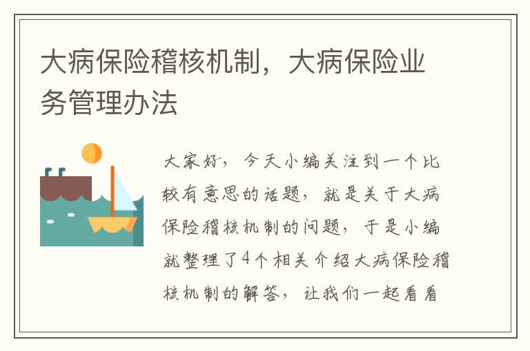 大病保险稽核机制，大病保险业务管理办法